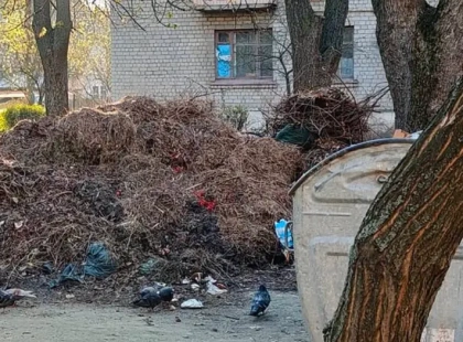 На Відрадному у Києві прибрали купи гілля, що залишалися з минулого року