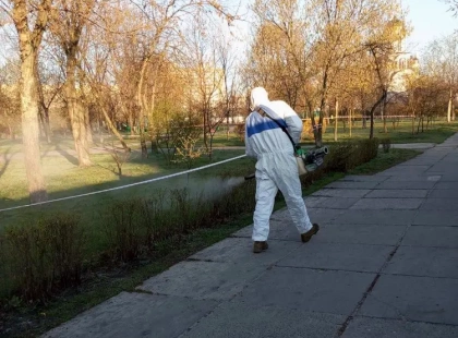 У Києві стартувала масштабна обробка від кліщів: де вже небезпечно гуляти