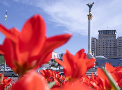 У Києві розквітли тюльпани - де шукати найкрасивіші локації