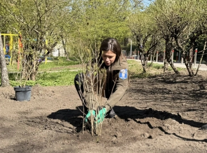 У Печерському районі Києва замість МАФів облаштували зелену зону