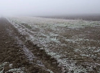 Заморозки до -2°: у Києві оголосили жовтий рівень небезпеки