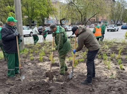 Замість МАФів — зелена зона: поблизу Львівської площі з’явилася нова оаза