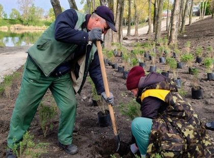 У Києві висадили понад 600 дерев у межах акції «1 мільйон дерев життя»