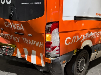 Оленя Бориса вдруге травмували під час перевезення до Києва