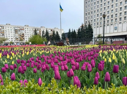 Весняний Київ у квітах: на площі Лесі Українки зацвіли тисячі тюльпанів