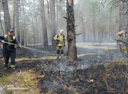 Понад 200 гектарів вигоріло на Київщині: ДСНС попереджає про масштабні пожежі в екосистемах