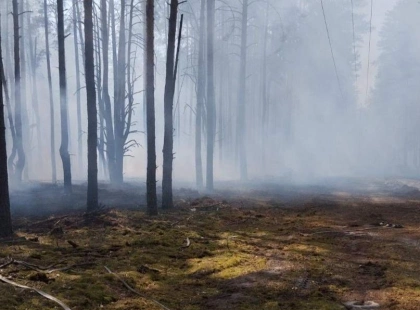 Пожежу в Чорнобильському заповіднику локалізували: що з радіаційним фоном