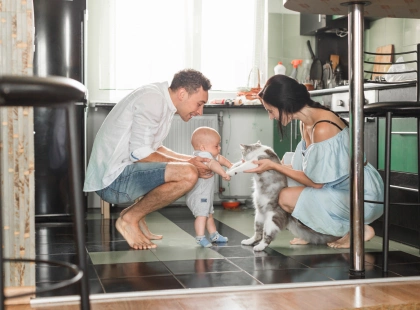 Київщина очолила рейтинг pet-friendly оренди: де в Україні найлегше зняти житло з тваринами