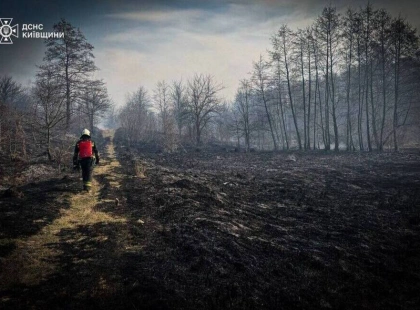 Київщина у вогні: з початку року зафіксовано понад 3 тисячі пожеж в екосистемах
