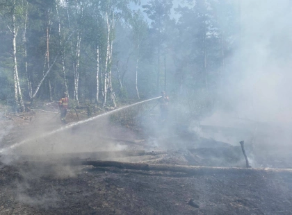 У Чорнобильській зоні після атаки дронів РФ знову спалахнула пожежа: що відомо