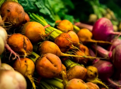 У Києві у вихідні пройдуть продуктові ярмарки: повний перелік локацій по районах