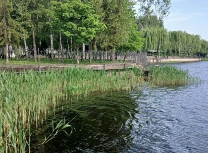 Паркани замість пляжів на Дніпрі: у Козині зафіксували масове захоплення берегової лінії