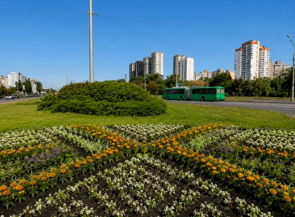 Квітковий код нації: київські комунальники висадили унікальні клумби-вишиванки