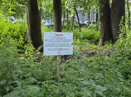 Скандал на Теремках: підписано акт на вирубку 2 га парку