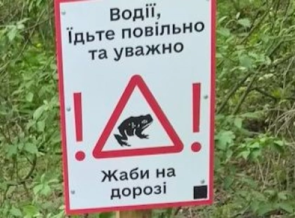 «Обережно, жаби!»: у Києві закликають берегти земноводних у Голосіївському лісі