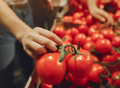 У Києві стартують продуктові ярмарки 26–31 травня: повний перелік локацій