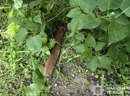 На Київщині чоловік напав із сокирою на сестру: потерпілу госпіталізували