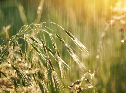 Погода у Києві на тиждень 1–7 червня: потепління до +25°C і періодичні дощі