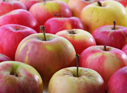 У Києві опублікували графік продуктових ярмарків з 2 по 7 червня: повний перелік локацій
