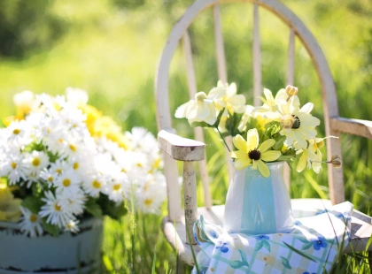 Погода у Києві 11 червня: до +27°C, сонце та без опадів