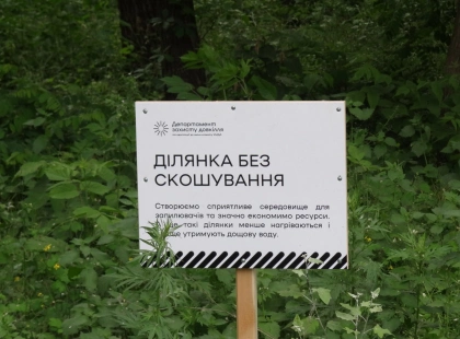 Баланс між косою та екологією: у Києві збільшили площу диких луків і територій без скошування трави