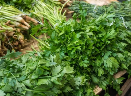 Де у Києві працюватимуть продуктові ярмарки 13–14 червня: повний список локацій