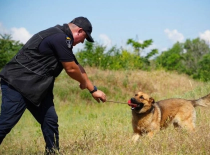 Київ побачив роботу чотирилапих саперів: ДСНС показала унікальні фото тренувань