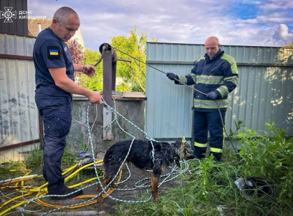На Фастівщині рятувальники дістали собаку з колодязя: тварину вдалося врятувати