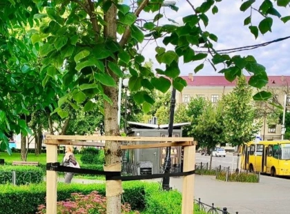 Рятують від негоди та формують «зачіски»: як змінюються зелені зони на Подолі (фото)