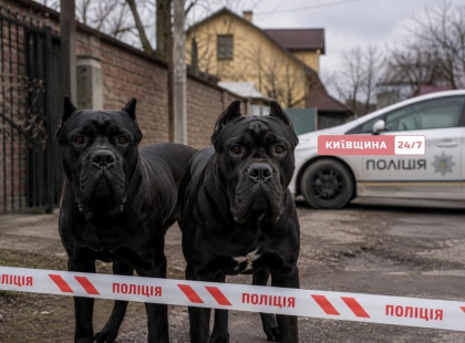 У Борисполі собаки насмерть загризли 79-річну жінку: поліція затримала власницю