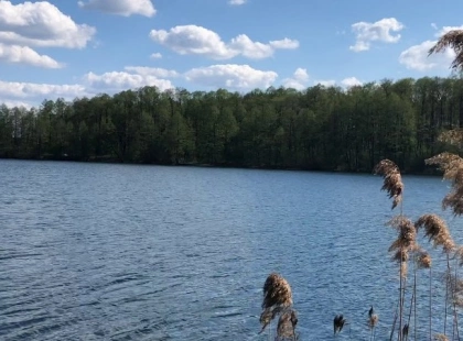 Три приховані озера в центрі Києва, що можуть зникнути через забудову та занедбаність
