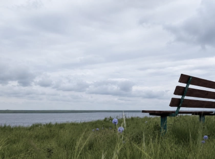 Погода в Києві на середу, 24 червня: хмарно, до +28°C і без дощу