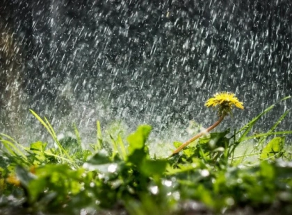 У Києві 25 червня буде до +26°C: протягом дня очікується дощ