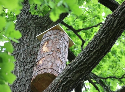 На Київщині встановили перші «готелі для комах»: WWF-Україна запускає екологічний проєкт