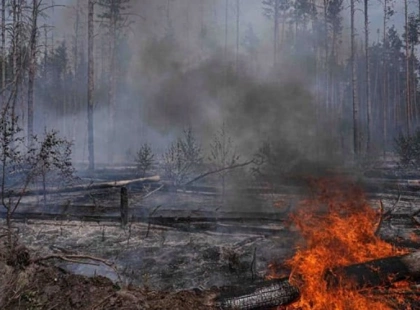 У Києві та області оголошено надзвичайний рівень пожежної небезпеки 30 червня 2026