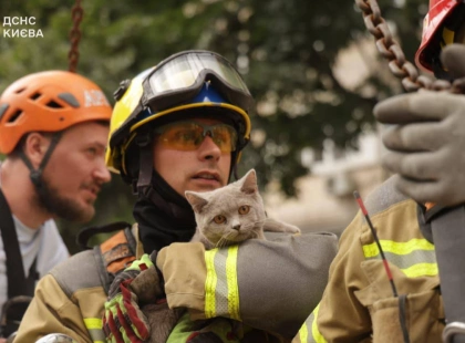 У Києві після обстрілу врятували кота з пошкодженої квартири: зворушливі фото