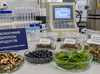 Киянам радять бути уважними: Держпродспоживслужба знайшла цезій-137 у грибах і чорницях