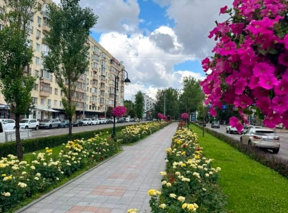 На бульварі Лесі Українки в Києві висадять нові квіти: як оновлюють зелені зони