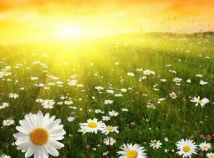 Погода у Києві на 18 липня: сонячно, без дощу та до +27°C