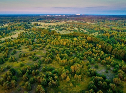 Майже 700 гектарів Чорнобильської зони передали прикордонникам під фортифікації