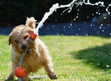 Погода у Києві на 21 липня: до +26°C, сонячно та без опадів