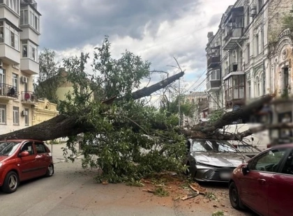 У Києві на вулиці Ярославській дерево впало на дорогу та заблокувало рух транспорту