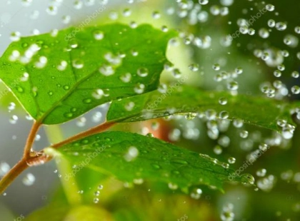Погода у Києві 24 липня: хмарно, до +23 градусів і дрібний дощ