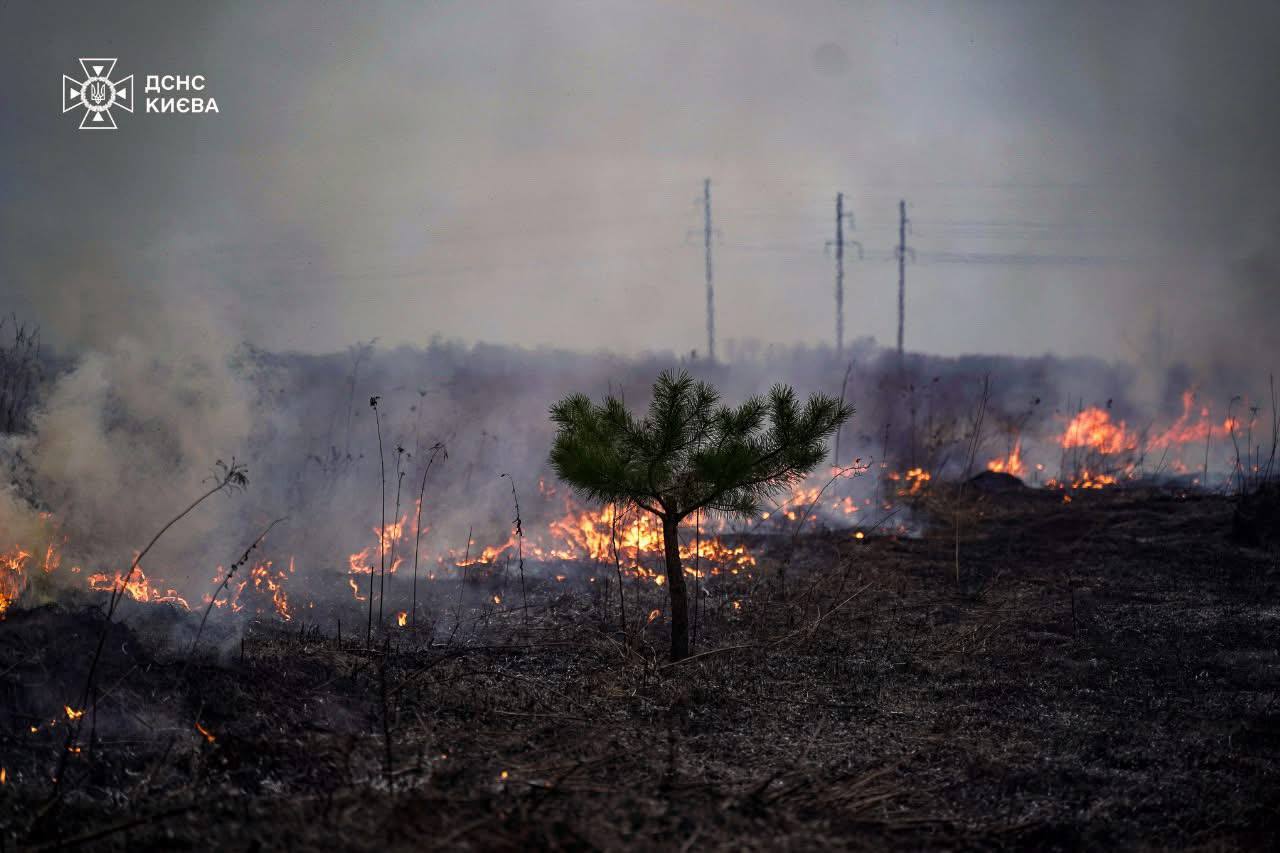 вогонь охопив площу до 2 гектарів