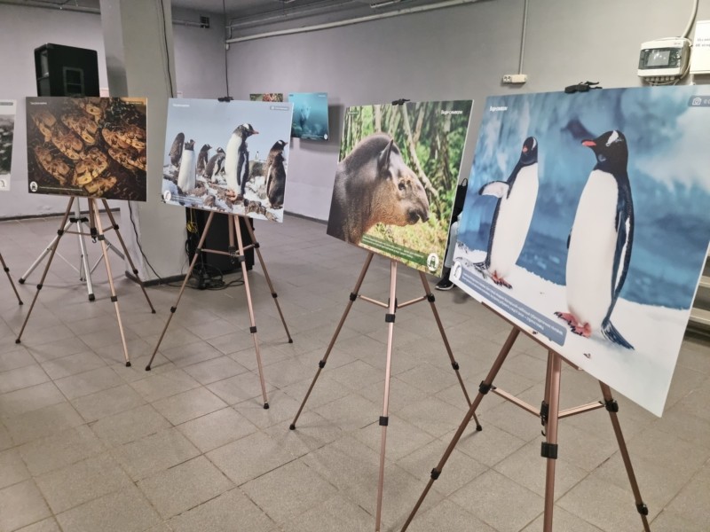 У Києві відкрилася унікальна українсько-перуанська фотовиставка: «Планета на грилі» - 2