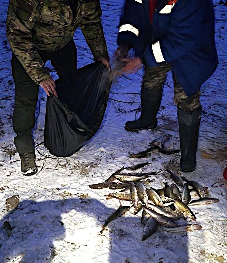 Порушення правил рибальства на Київському водосховищі: порушник завдав збитків на 180 тис грн - 2