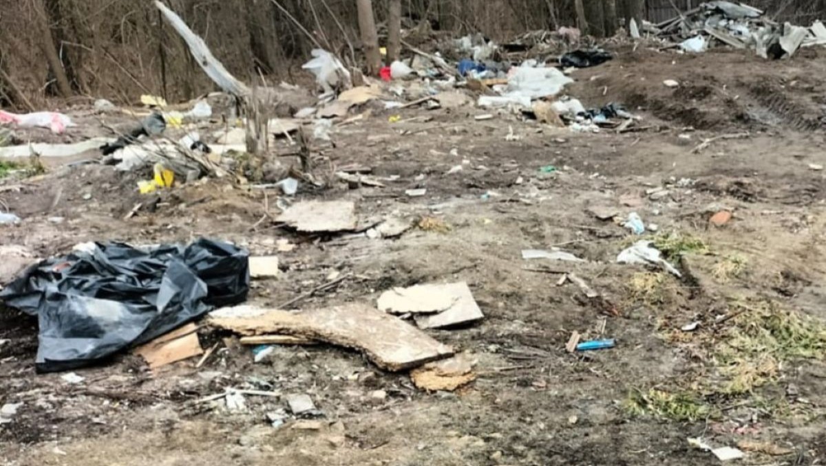 На Київщині виявили несанкціоноване звалище побутових відходів - 1
