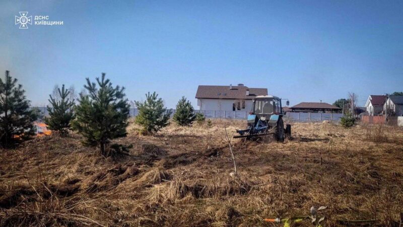 Пожежа через спалювання трави на Київщині: троє дітей дивом врятовані - 1