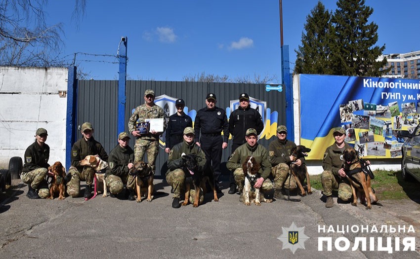 У Києві сертифікували нових службових собак для поліції: як проходили випробування - 1