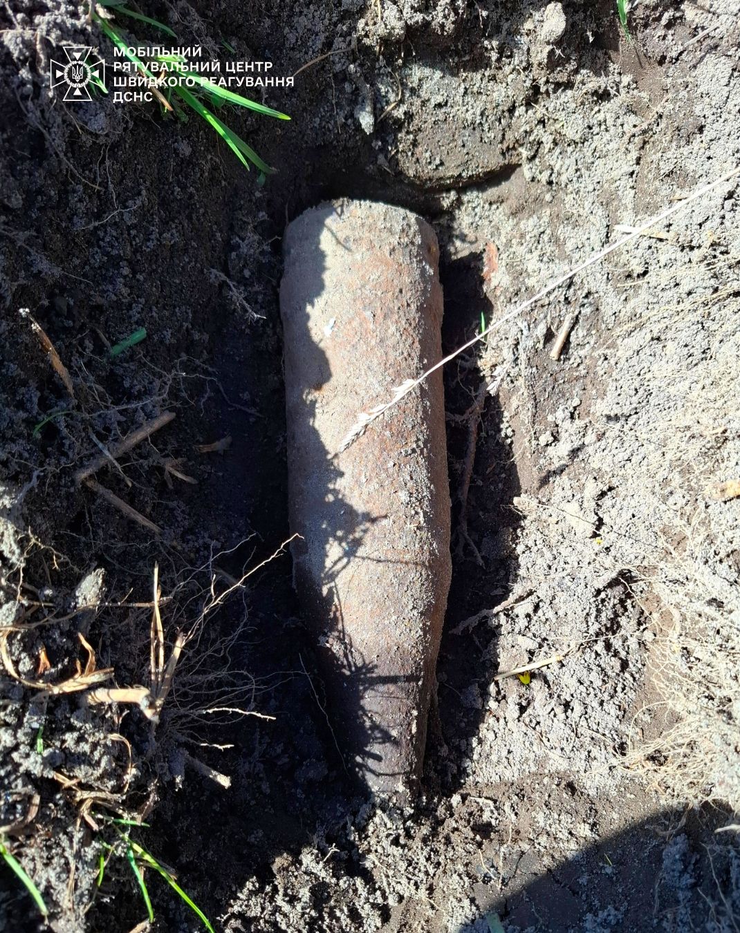 У лісі Києва знайшли смертельну спадщину Другої світової - 2